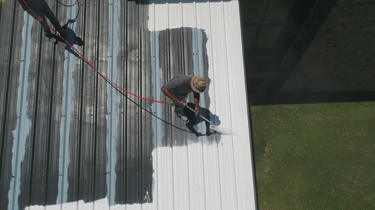Roof Painting