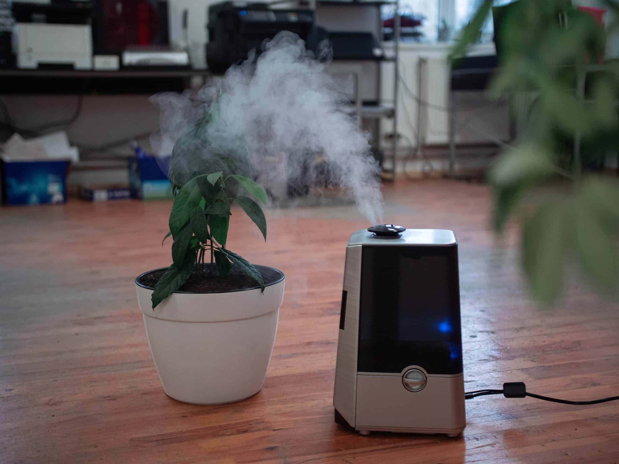 How Air Purifiers Help Relieve Your Respiratory Infections