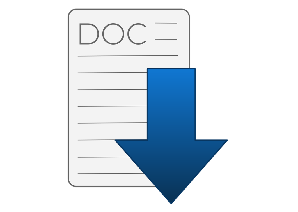 Google Docs Microsoft Word document