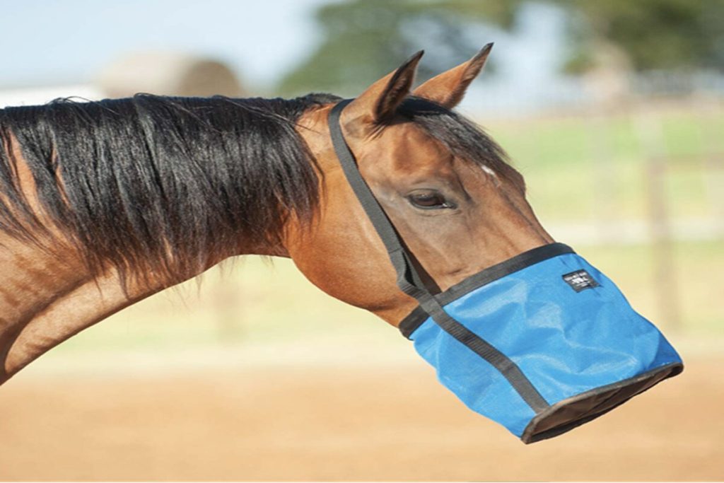 Horse Hay Bags