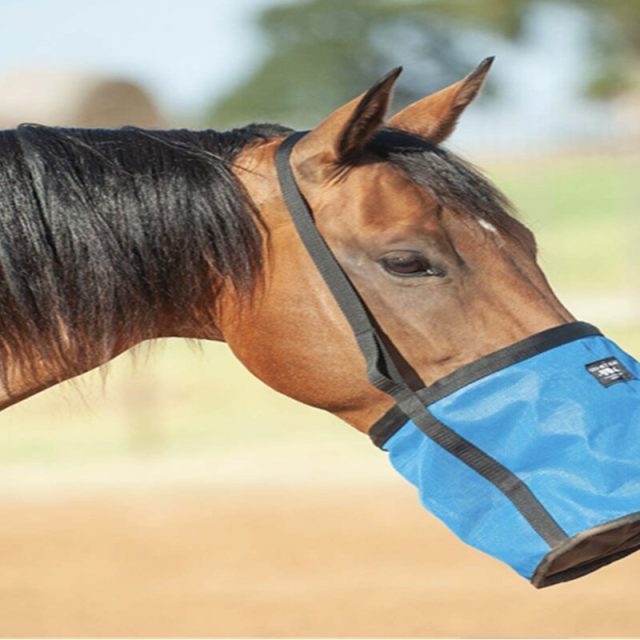 Benefits and Considerations When Buying Horse Hay Bags for Sale