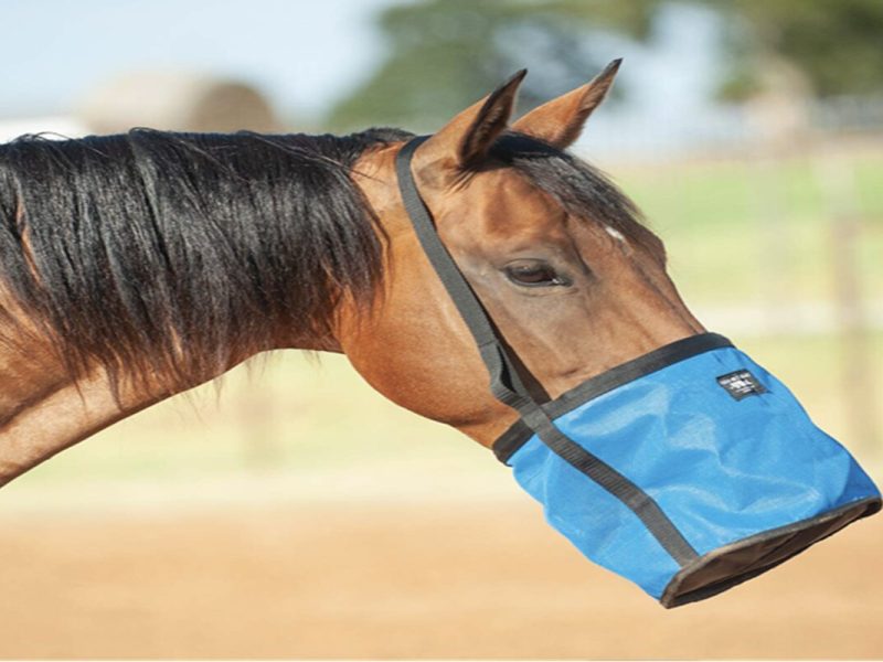 Horse Hay Bags